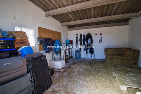 Farm i Monovar, Alicante, Monovar - € 200.000 | Ref: Mon KGeq - foto 30
