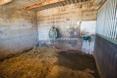 Landejendom i Monovar, Alicante, Monovar - € 200.000 | Ref: Mon KG-D - foto 25
