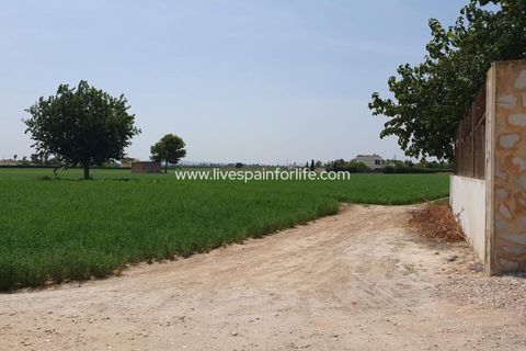 Landejendom i Catral, Alicante, Catral - € 265.000 | Ref: CAT HS34 - foto 29