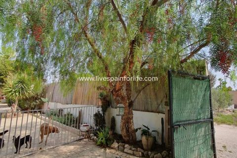 Landejendom i Catral, Alicante, Catral - € 265.000 | Ref: CAT HS34 - foto 30