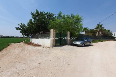 Landejendom i Catral, Alicante, Catral - € 265.000 | Ref: CAT HS34 - foto 37