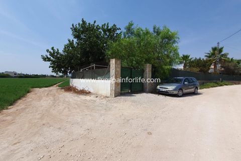Landejendom i Catral, Alicante, Catral - € 265.000 | Ref: CAT HS34 - foto 39