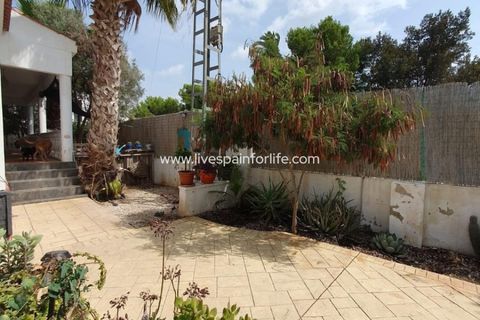 Landejendom i Catral, Alicante, Catral - € 265.000 | Ref: CAT HS34 - foto 47