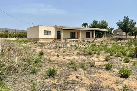 Landejendom i Elche, Alicante, Elche - € 450.000 | Ref: Elx san-D-D - foto 4