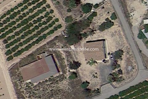 Landejendom i Elche, Alicante, Elche - € 450.000 | Ref: Elx san-D-D - foto 32