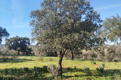 Helårsgrund i La Codosera, Badajoz, La Codosera - € 810.000 | Ref: 2026-127/12527 - foto 5