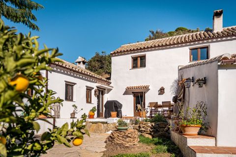 Finca a Casares, Malaga, Casares - € 775.000 | Ref: MLSC7955224 - foto 4