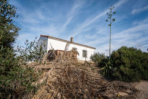 Finca i Manilva, Malaga, Manilva - € 692.000 | Ref: MLSC3746902 - foto 8