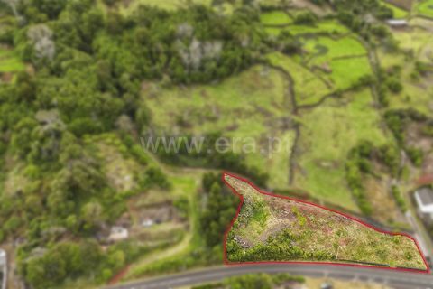 Helårsgrund i Sao Roque do Pico, Pico, Sao Roque do Pico - € 45.000 | Ref: 374260087 - foto 8
