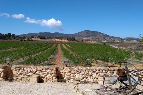 Rækkehus i Pinoso, Alicante, Pinoso - € 299.995 | Ref: JJ7234 - foto 4