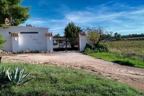 Rækkehus i Pinoso, Alicante, Pinoso - € 299.995 | Ref: JJ7234 - foto 6