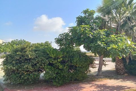Bungalow i Torrevieja, Alicante, Torrevieja - € 156.000 | Ref: MLSC3914228 - foto 39