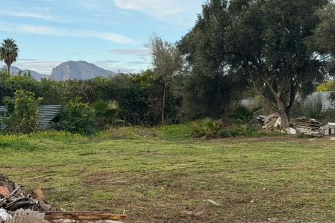 Finca i Orihuela, Alicante, Orihuela - € 249.000 | Ref: MLSC4269723 - foto 14
