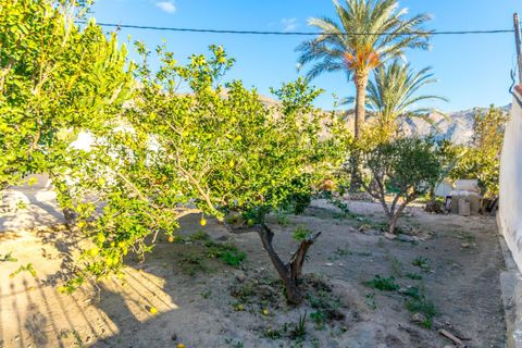 Finca i Orihuela, Alicante, Orihuela - € 250.000 | Ref: MLSC3325890 - foto 23