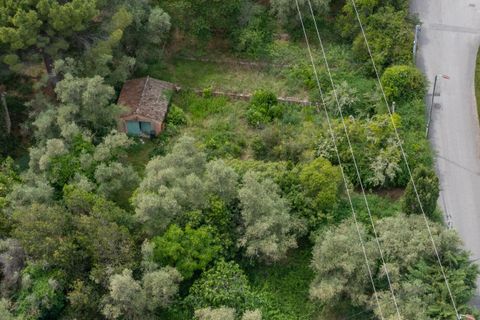 Tomt i Grasse, Alpes-Maritimes, Grasse - € 235 000 | Ref: 50444 - foto 3