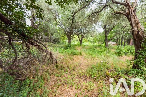 Tomt i Grasse, Alpes-Maritimes, Grasse - € 235 000 | Ref: 50444 - foto 4