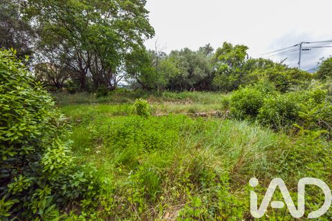 Tomt i Grasse, Alpes-Maritimes, Grasse - € 235 000 | Ref: 50444 - foto 9