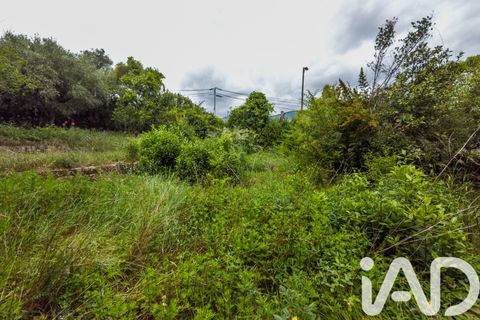 Tomt i Grasse, Alpes-Maritimes, Grasse - € 235 000 | Ref: 50444 - foto 10