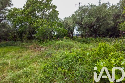 Tomt i Grasse, Alpes-Maritimes, Grasse - € 235 000 | Ref: 50444 - foto 11