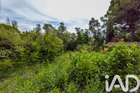 Tomt i Grasse, Alpes-Maritimes, Grasse - € 235 000 | Ref: 50444 - foto 12
