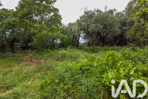 Tomt i Grasse, Alpes-Maritimes, Grasse - € 235 000 | Ref: 50444 - foto 13