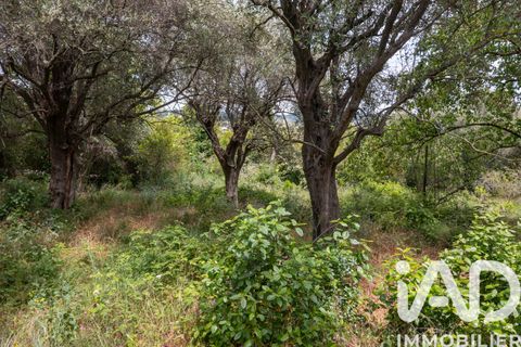 Tomt i Grasse, Alpes-Maritimes, Grasse - € 235 000 | Ref: 50444 - foto 17