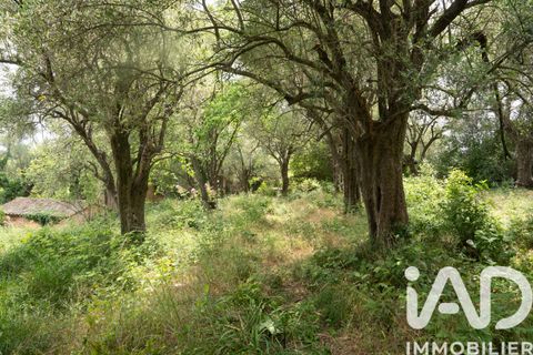 Tomt i Grasse, Alpes-Maritimes, Grasse - € 235 000 | Ref: 50444 - foto 18