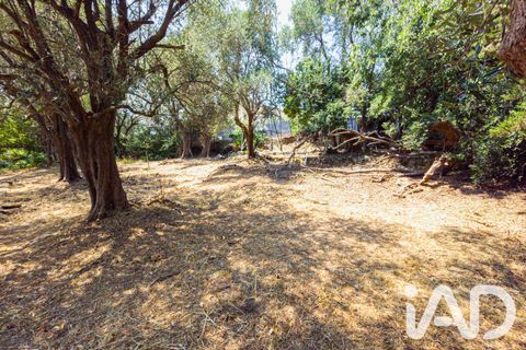 Terreno en Grasse, Alpes-Maritimes, Grasse - € 235.000 | Ref: 50444 - photo 7