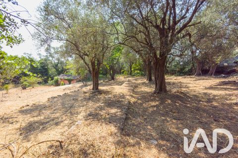 Terreno en Grasse, Alpes-Maritimes, Grasse - € 235.000 | Ref: 50444 - photo 8