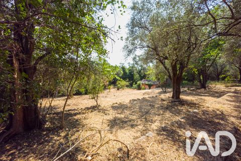 Terreno en Grasse, Alpes-Maritimes, Grasse - € 235.000 | Ref: 50444 - photo 9