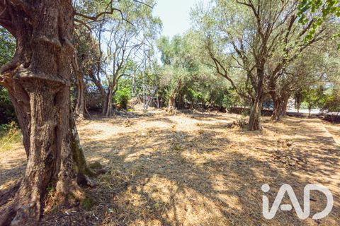 Terreno en Grasse, Alpes-Maritimes, Grasse - € 235.000 | Ref: 50444 - photo 10
