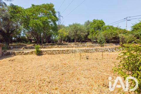 Terreno en Grasse, Alpes-Maritimes, Grasse - € 235.000 | Ref: 50444 - photo 15