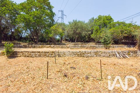 Terreno en Grasse, Alpes-Maritimes, Grasse - € 235.000 | Ref: 50444 - photo 17