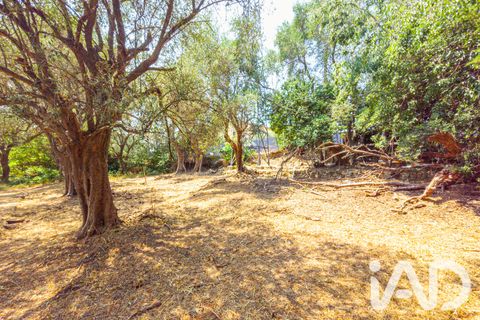 Terreno en Grasse, Alpes-Maritimes, Grasse - € 235.000 | Ref: 50444 - photo 19