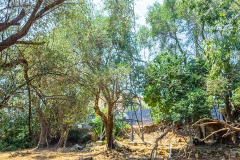Terreno en Grasse, Alpes-Maritimes, Grasse - € 235.000 | Ref: 50444 - photo 20