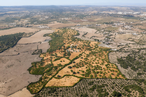 Farm i Elvas, Portalegre, Elvas - € 750.000 | Ref: ITH4362 - foto 3