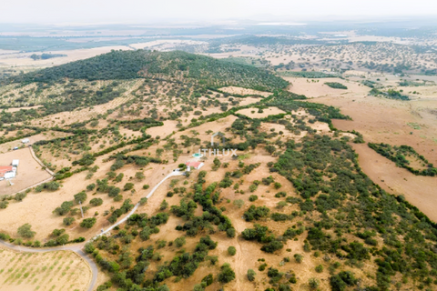Farm i Elvas, Portalegre, Elvas - € 750.000 | Ref: ITH4362 - foto 4