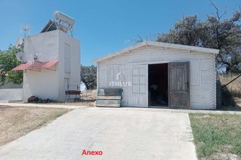 Farm i Elvas, Portalegre, Elvas - € 750.000 | Ref: ITH4362 - foto 13