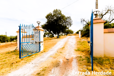 Farm i Elvas, Portalegre, Elvas - € 750.000 | Ref: ITH4362 - foto 15