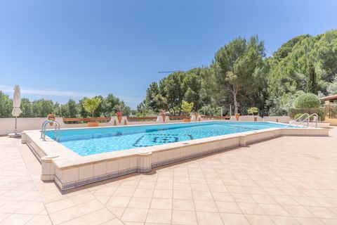 Leilighet i Peguera, Mallorca, Peguera - € 795 000 | Ref: FALC-DiRa-85512 - foto 28