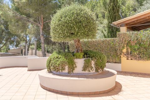 Leilighet i Peguera, Mallorca, Peguera - € 795 000 | Ref: FALC-DiRa-85512 - foto 29