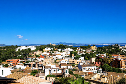 Rækkehus i Palma De Mallorca, Mallorca, Palma De Mallorca - € 1.500.000 | Ref: FALC-ZoRe-85402 - foto 12