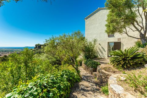 Villa i Hyeres, Var, Hyeres - € 1.095.000 | Ref: HH-16178970 - foto 2
