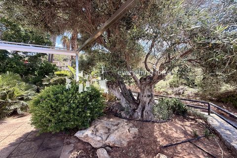 Stadthaus in Cala Tarida, Ibiza, Cala Tarida - € 1.190.000 | Ref: 1900 - Foto 12