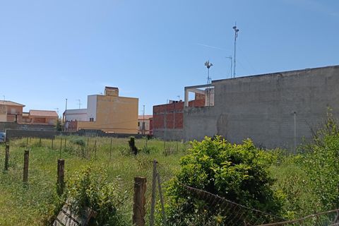 Terra a Benavites, Valencia, Benavites - € 425.000 | Ref: EXP14239/8930 - foto 4