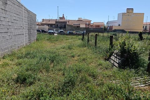 Terra a Benavites, Valencia, Benavites - € 425.000 | Ref: EXP14239/8930 - foto 5
