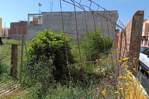 Terra a Benavites, Valencia, Benavites - € 425.000 | Ref: EXP14239/8930 - foto 6