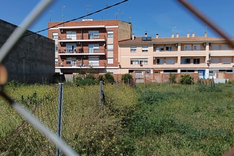 Terra a Benavites, Valencia, Benavites - € 425.000 | Ref: EXP14239/8930 - foto 8