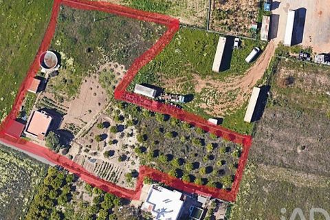 Byhus i Faro, Faro, Faro - € 350.000 | Ref: 915571 - foto 14