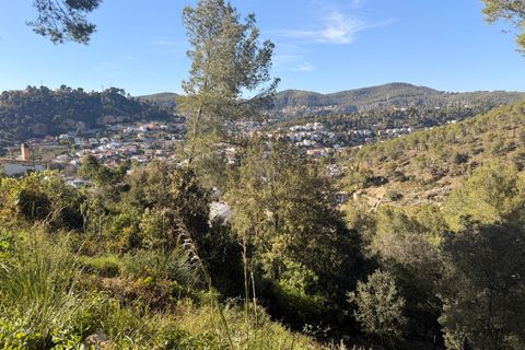Terra a Barcelona, Barcelona, Barcelona - € 35.000 | Ref: 864281 - foto 2